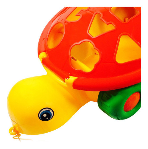 Tortuga Didáctica Infantil Juguete 0
