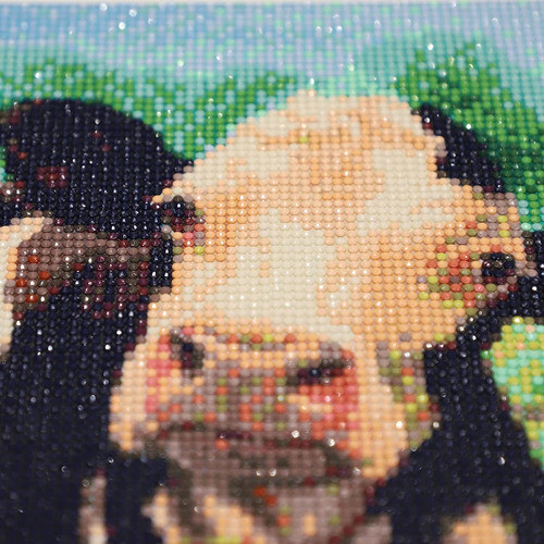 Kit Pintura Con Diamantes 5d Vacas Flores Granja 30x40cm ... 1