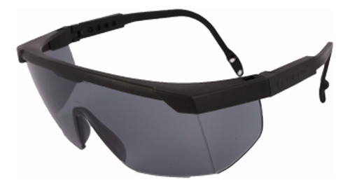 Anteojo Protector Argon Gris Hc Libus 900494 0