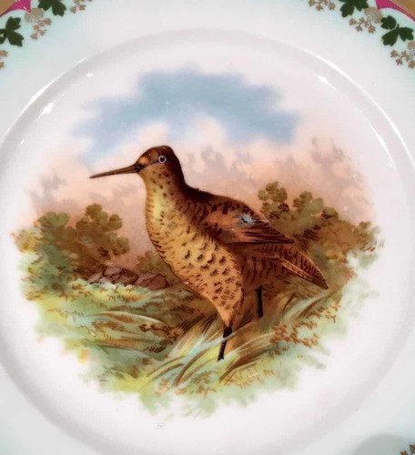 Plato De Colección Moritz Zdekauer 1