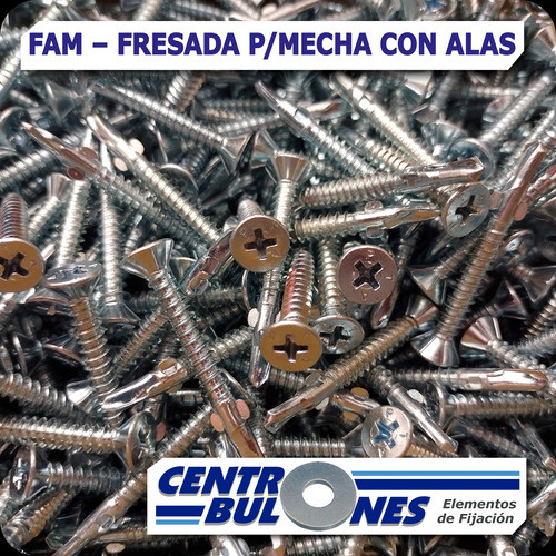 Tornillo Autoperforante Alas Punta Mecha 10 X 2  250 Unid 1