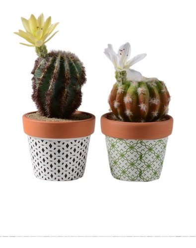 Cacto Mini No Vaso - Kit Com 2 Unidades 0
