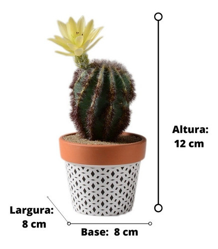 Cacto Mini No Vaso - Kit Com 2 Unidades 1