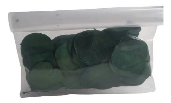Folhas Moeda Secas Desidratadas Verde Escuro- 350 Folhas 1
