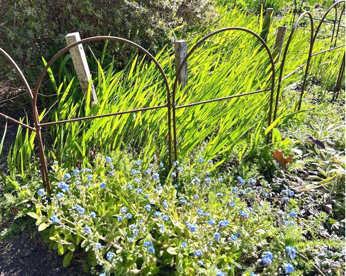 Cerco De Hierro Para Canteros Y Caminos Jardín Mediano Óxido 1