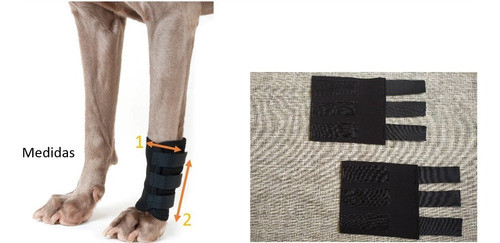 Protector De Carpo Perro Talle Xl 1