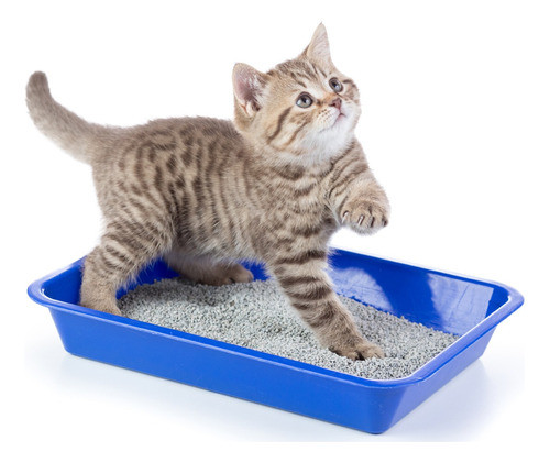 Piedritas Absorventes Para Gatos Mi Pichicho Limon 4 Kg 1
