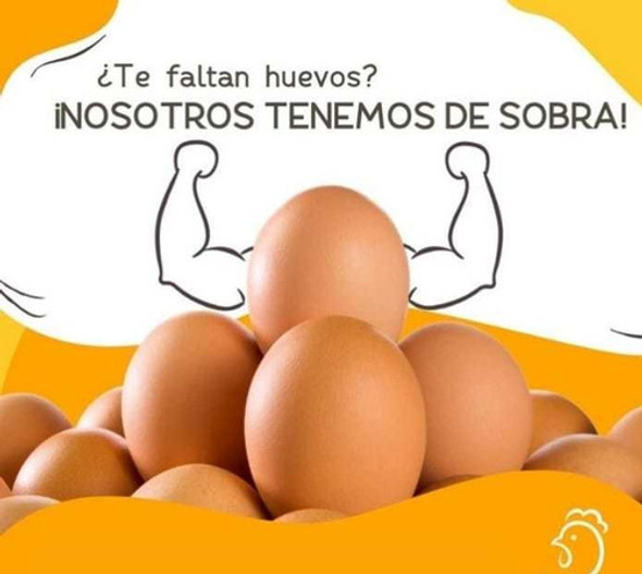 Huevos Grandes Color 1 Maple X 30 Huevos Envío Gratis Oeste 1