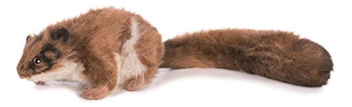 Leadbetter Zarigüeya De Peluche Por Hansa 4 0