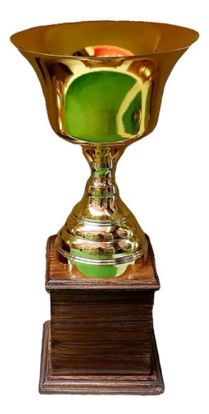 Inter De Milan (50cm) 1