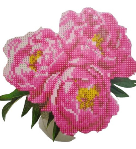 Pintura Por Diamantes Kit Completo 20x20 Rosas 0