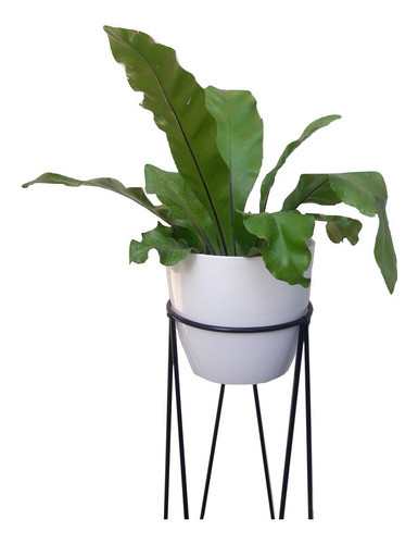 Porta Macetas Macetero Nordico En Hierro 40cm De Alto 1