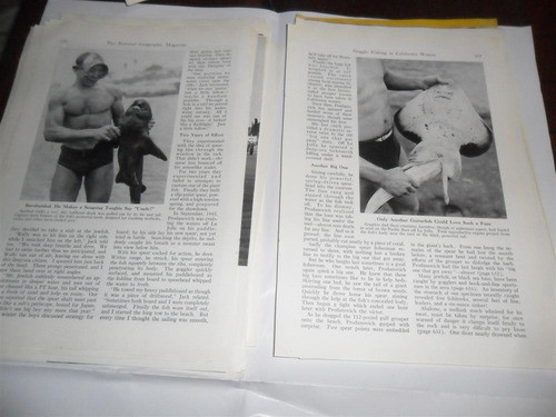 Antigua Nota 1949 Goggle Fishing In California Waters Boren 1