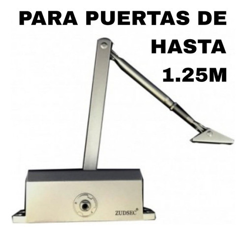 Cierra Puerta Hidráulico Brazo Cierrapuerta Aereo 1,25metros 1