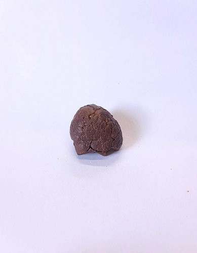 Piedra De La Profecía - Ixtlan Minerales 1