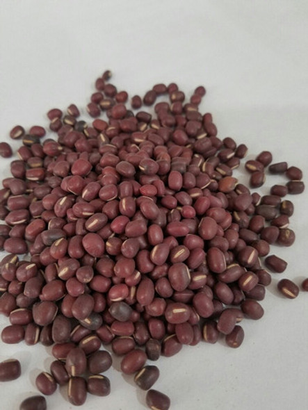 Poroto Aduki  Grande X 1 Kg (mercdoenvio) 0