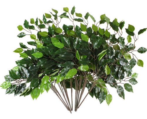 Gtidea 12 Piezas Ramas Hojas Árbol Ficus, Tallos Verdes 0