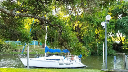 Alquiler Y Paseo Barco Velero Por El Rio De La Plata Y Delta 0