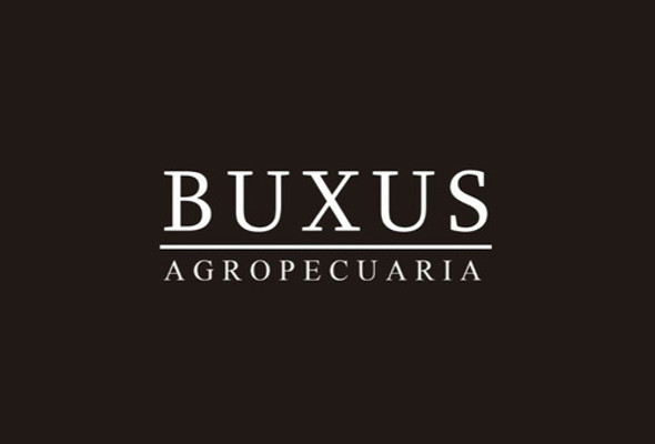 Barrera Protectora Anti Hormigas X 10mt Para Árboles Plantas 1