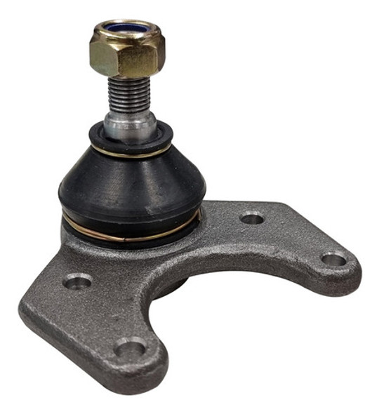 Rotula Susp.inf. R-18 1