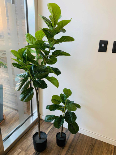 Planta Artificial Ficus Pandurata Set X 2 72 Y 150 Cms 1