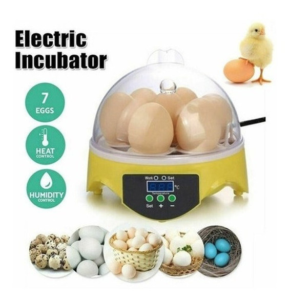 Mini Incubadora 7 Ovos Torneamento Manual De Galinhas E Aves 0