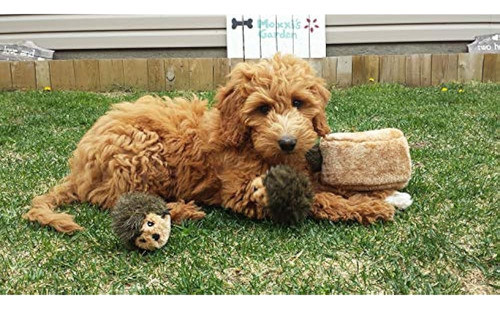 Zippypaws - Madriguera De Los Amigos Del Bosque, Juguete Int 1