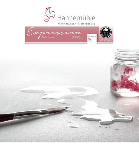 Papel Hahnemuhle Expression 300g/m2 Grana Fina 50x65 100%cot 0