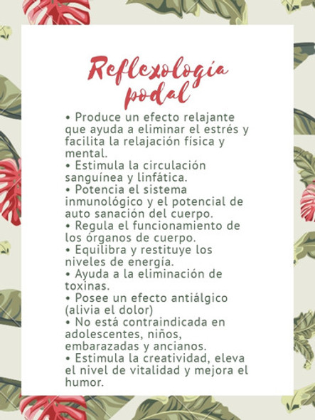Reflexologa Podal Andrea A Domicilio 1
