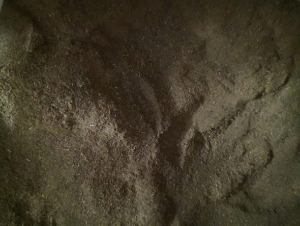 Endulzante Stevia En Polvo 100% Natural Sin Tacc Bolsa 1kg 1