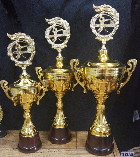 Trofeo Copa Plástico Base Madera Handball Handbol 49 Cm 1