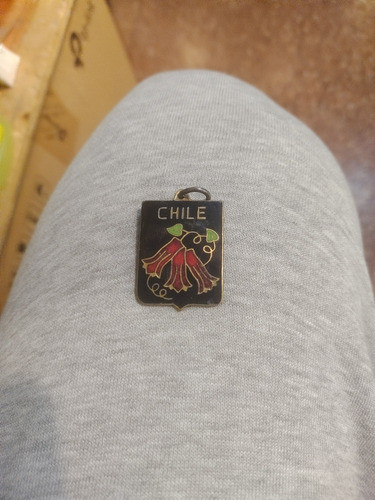 Medalla Esmaltada Chile 0