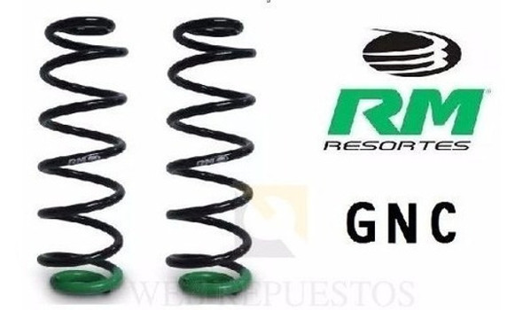 Kit 2 Espirales Rm Traseros Reforzados Gnc Citroen C3 Aircross 1
