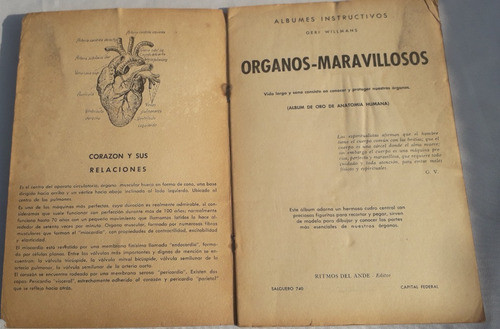 Album De Figurita Antiguo * Anatomia Humana * Organos Ritmo 1
