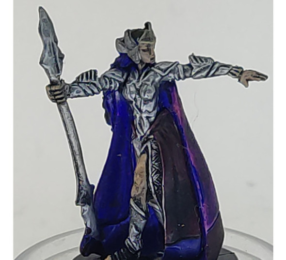 Inspired Lieutenant #33 War Drums D&d Miniatures Rpg 0