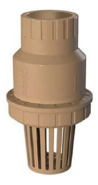 Valvula De Ret. C/canasto Pie Tigre Para Piscina 0 Valvula De Ret. C/canasto Pie Tigre Para Piscina 0