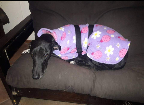 Capa Para Perros Doble Polar Con Correas Regulables 1