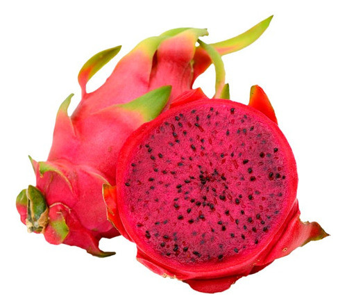 Planta De Pitahaya O Fruta Del Dragón Roja. Envios 0