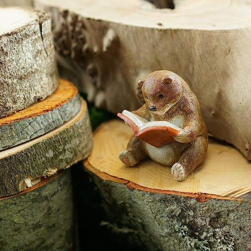 Top Collection Jardín De Hadas En Miniatura Y Terrario Baby 1