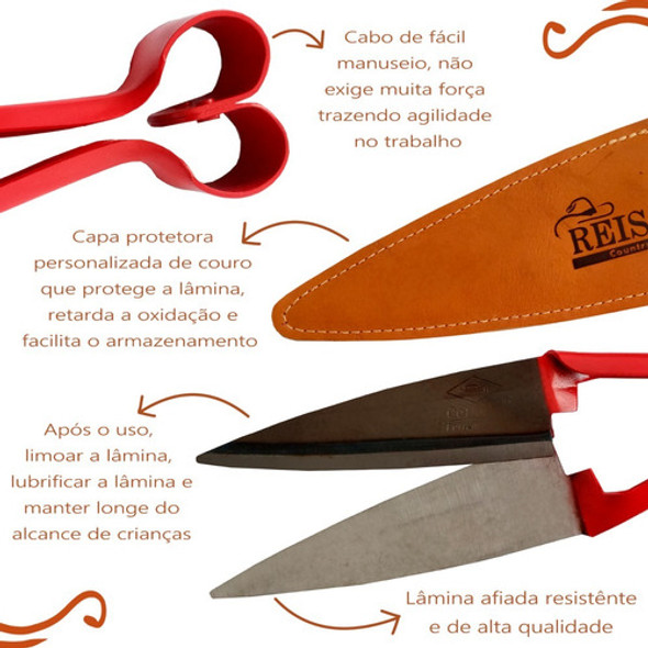 Kit Limpeza Cavalo Rodo Raspador Tesoura Raspadeira Escova 1