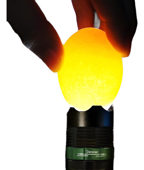 5w Led Probador De Candler Huevo Blanco Fresco Para Criadora 0 5w Led Probador De Candler Huevo Blanco Fresco Para Criadora 0