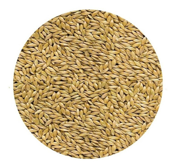 Semillas De Alpiste Premium, Aptas Consumo Humano - 1 Kg 0