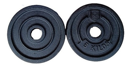 2 Discos Fundición Liso X 5 Kilos Big Company 0