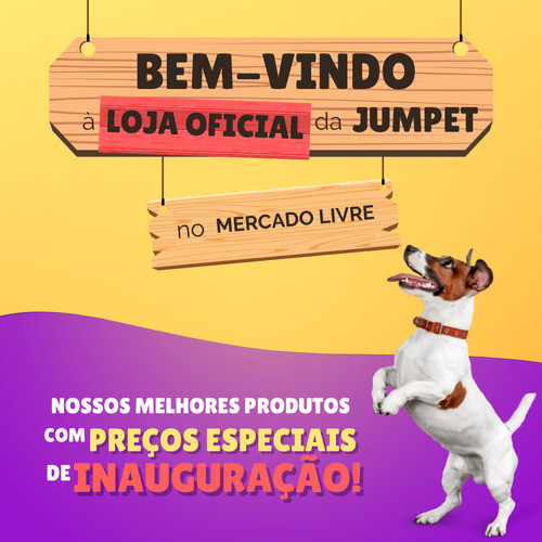 Brinquedo P/ Cachorro Mordedor Pet Borracha 1