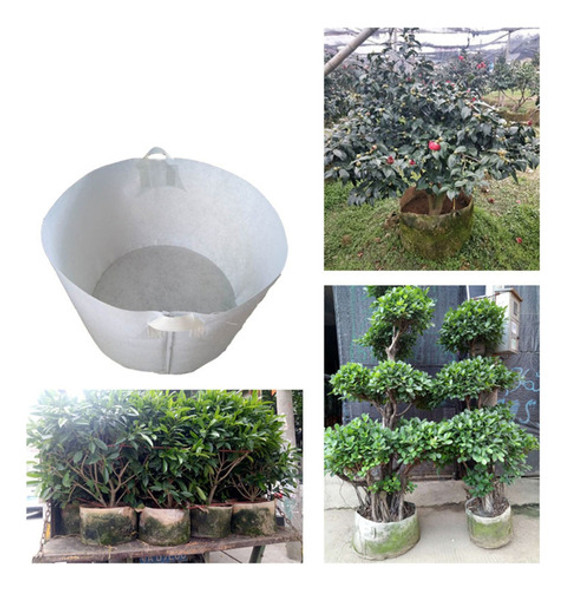 Sacos De Cultivo De Viveiro, Grandes Sementes Tecido Não 1