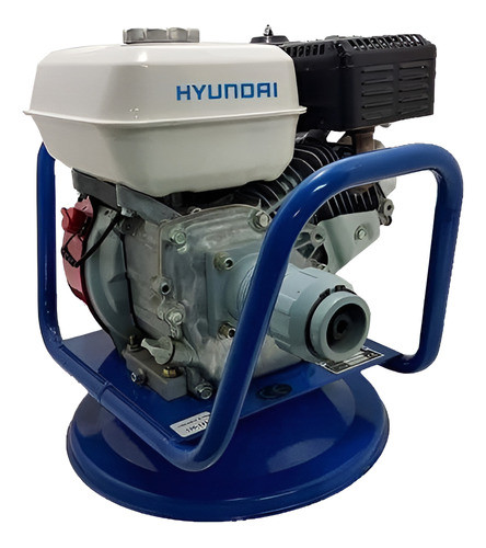 Vibrador Para Hormigon A Nafta Hyundai Motor Honda 6.5hp G P 0