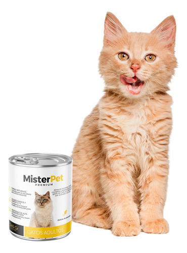 Comida Húmeda Gato 340grs 1