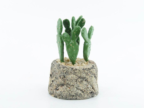 Cactus En Piedra 12 Cm. 0