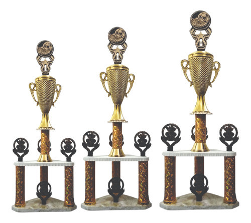 Terna Copa Apta Todas Las Disciplinas Deportivas/ 60-65-70cm 0
