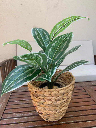 Planta Artificial Calathea Medallion Hojas Matizadas 45 Cms 1